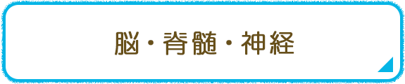 脳・脊髄・神経