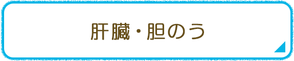 肝臓・胆のう