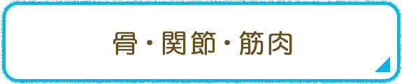 骨・関節・筋肉